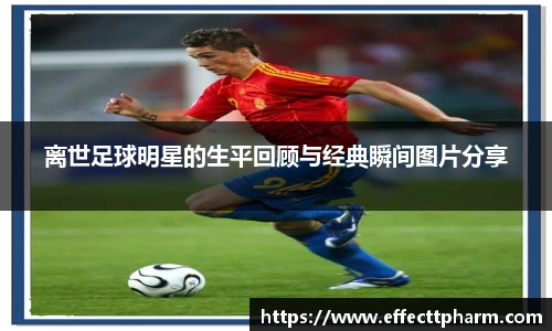 离世足球明星的生平回顾与经典瞬间图片分享